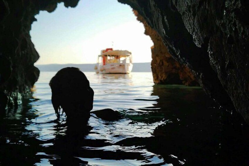 A dog in a cave with a boat in the background. 3