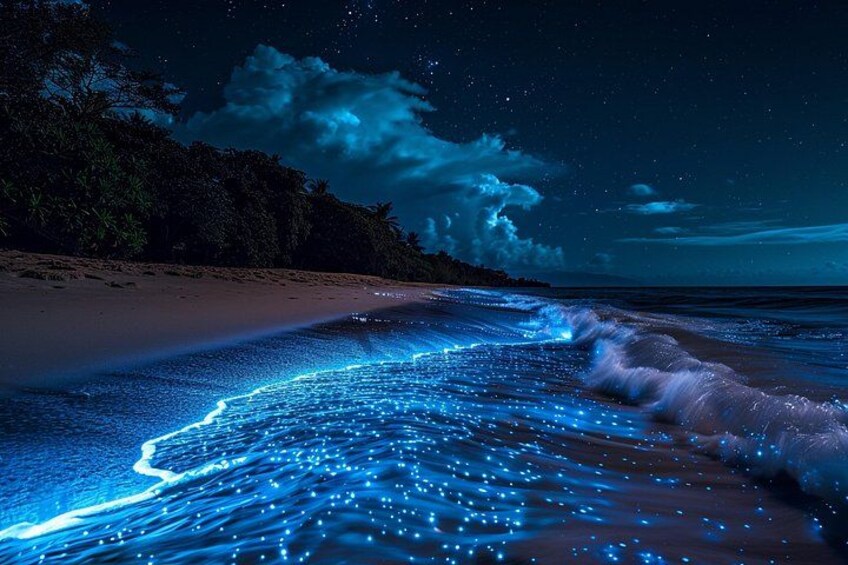 Sunset Boat Tour & Bioluminescence Adventure at Los Arcos Islands 2