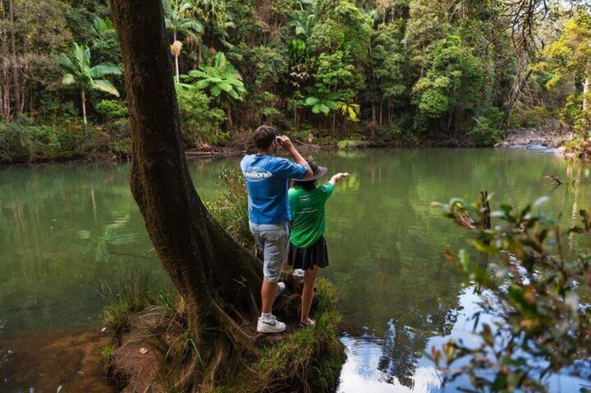 Two people standing on a tree root by a calm river surrounded by dense forest. 1
