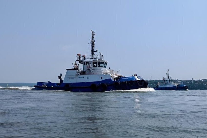 Two large blue and white ships on calm water. 4