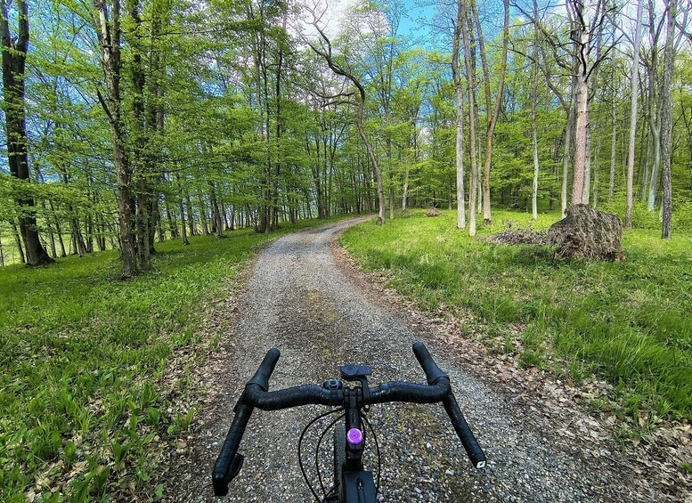 Picture 4 for Activity Brno: E-Bike Tour to Moravian Karst & Pekárna Cave 2