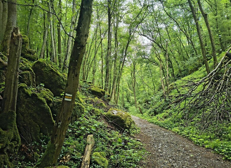 Picture 3 for Activity Brno: E-Bike Tour to Moravian Karst & Pekárna Cave 3