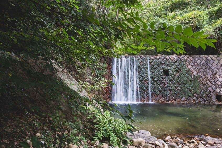 A waterfall cascading into a pond, surrounded by dense foliage and a stone wall. 5