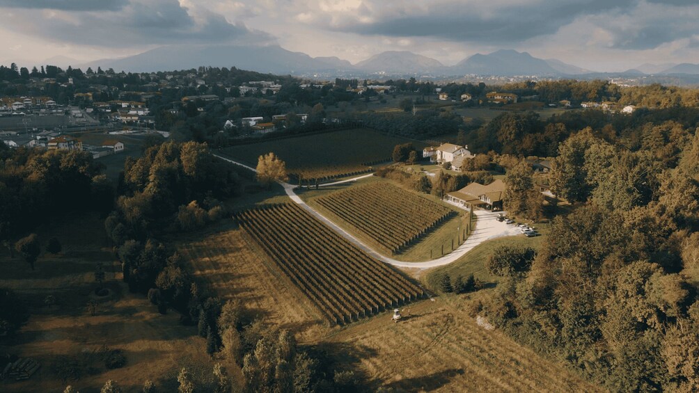 Picture 1 for Activity Cascina Ronchetto - Cellar Tour & Wine Tasting in Morazzone 2