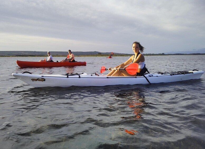 Picture 3 for Activity Cabras Lagoons: Kayaking and Birdwatching 3