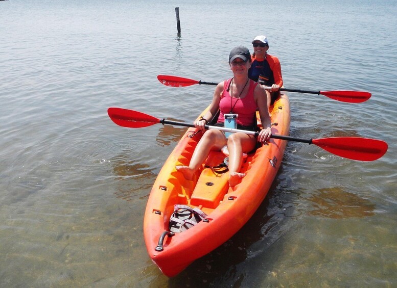 Picture 2 for Activity Cabras Lagoons: Kayaking and Birdwatching 4
