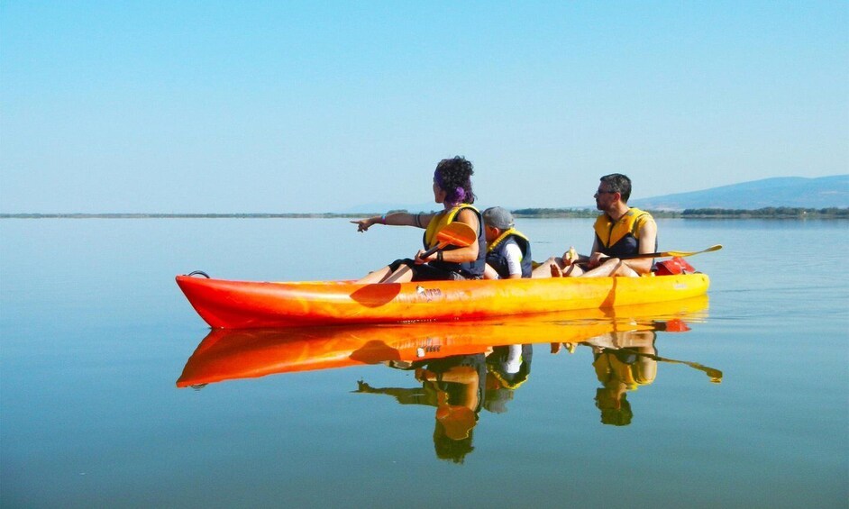 Cabras Lagoons: Kayaking and Birdwatching 1