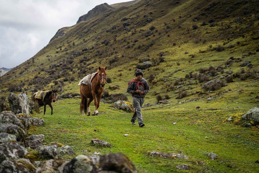 A person leading a horse and a smaller horse on a grassy hillside with rocks and a mountain in the background. 3