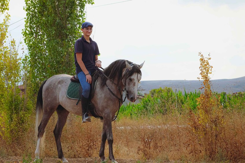 A person riding a horse on a dirt path with greenery and hills in the background. 1