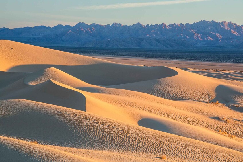 Sand dunes with a mountain range in the background. 3