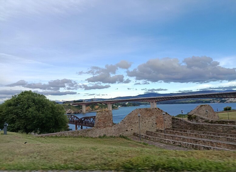 Picture 19 for Activity Guided birdwatching tour at the Molino de Marea in Ribadeo 2