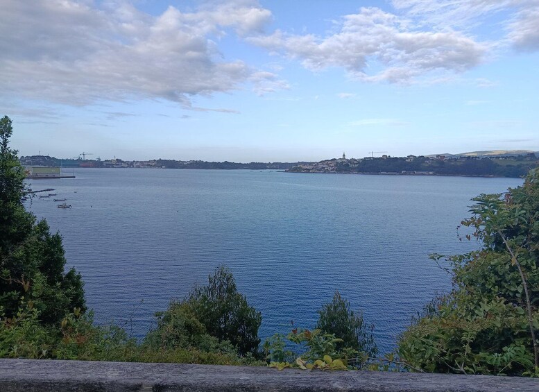 Picture 1 for Activity Guided tour of the Molino de Marea in Ribadeo 1