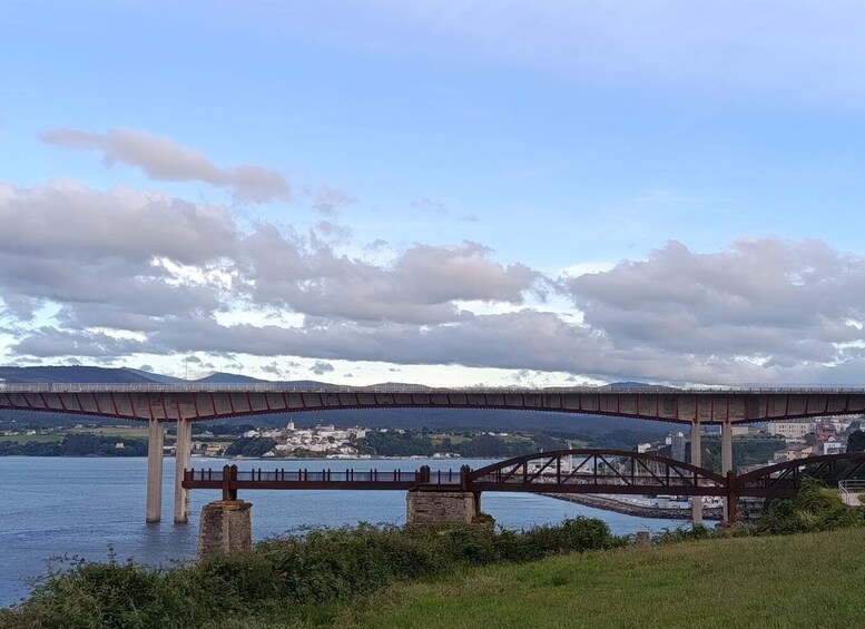 Picture 18 for Activity Guided birdwatching tour at the Molino de Marea in Ribadeo 3