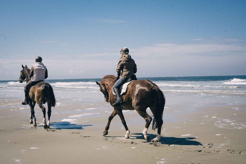 Galveston: Guided Horseback Ride Along the Coast 1