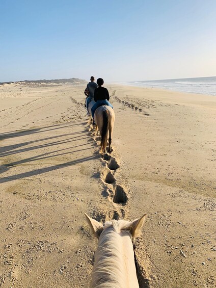 Picture 1 for Activity Galveston: Guided Horseback Ride Along the Coast 3