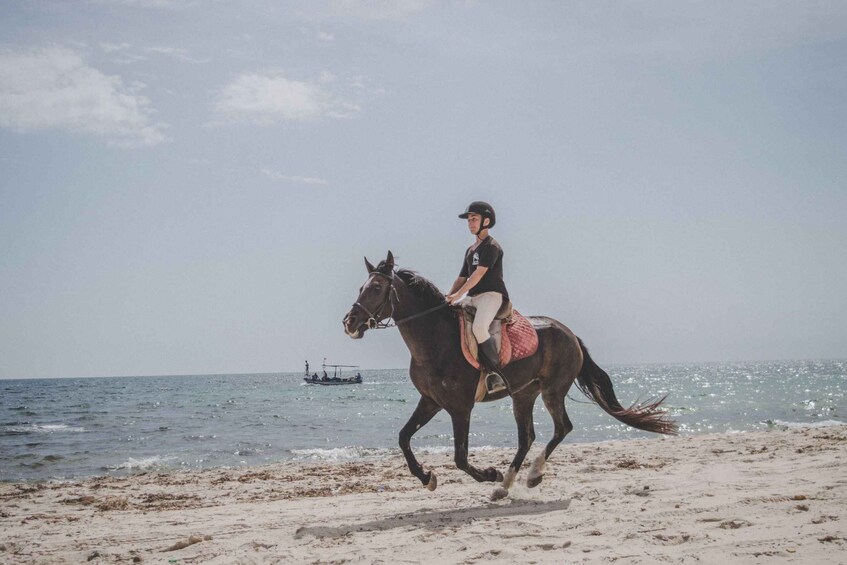 Picture 2 for Activity Galveston: Guided Horseback Ride Along the Coast 2
