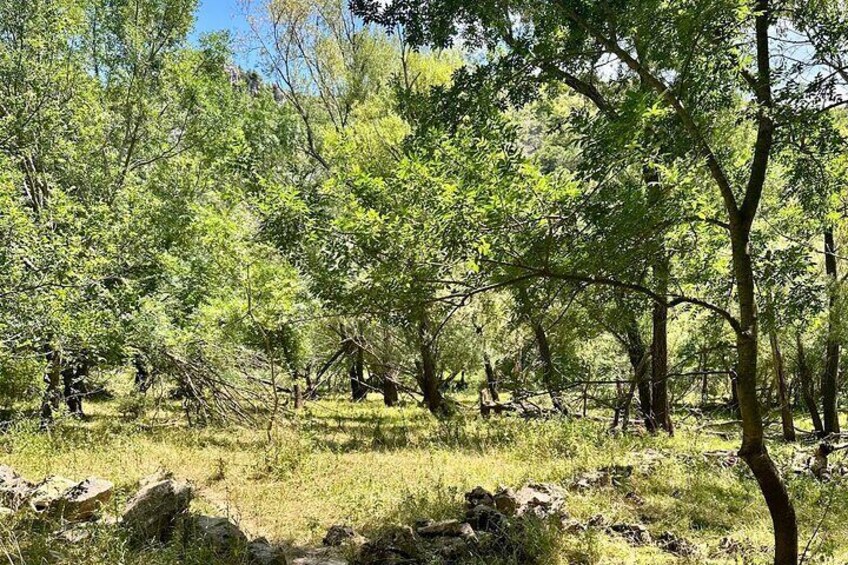 Hiking trail 1