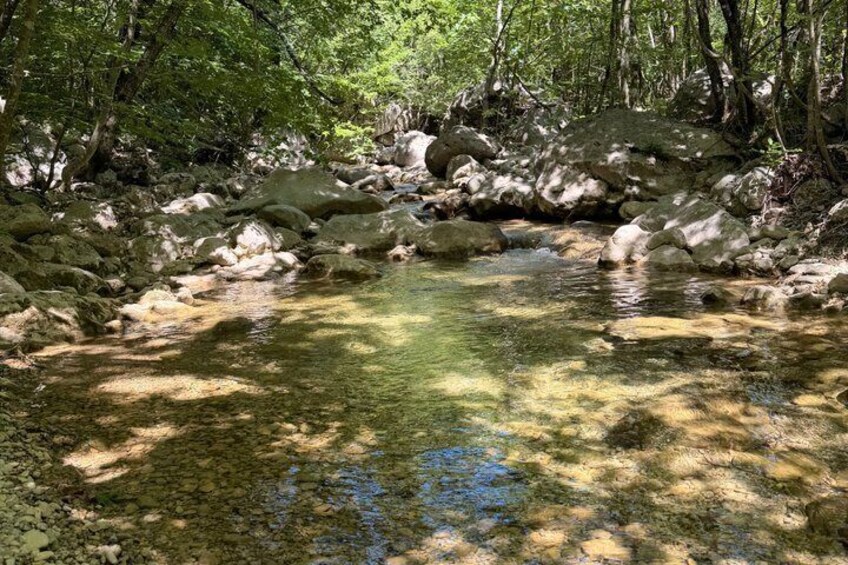 A clear stream surrounded by rocks and trees. 4