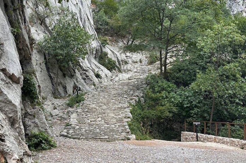 A stone staircase leading up a rocky hillside, surrounded by trees and vegetation. 1