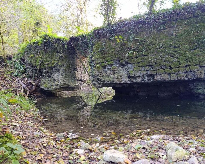 From Barbarano Romano: Marturanum Regional Park Guided Hike 1