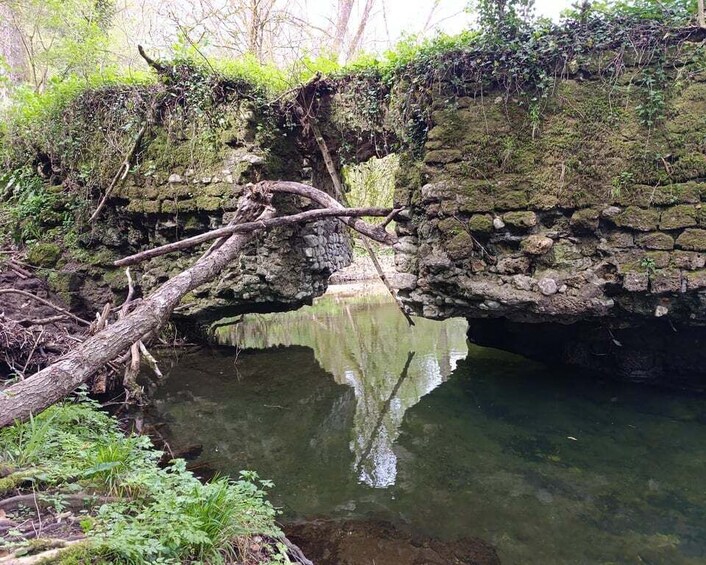 Picture 2 for Activity From Barbarano Romano: Marturanum Regional Park Guided Hike 2