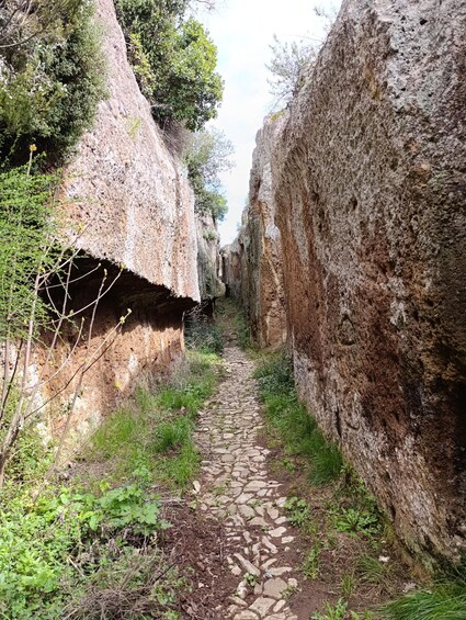 Picture 4 for Activity From Barbarano Romano: Marturanum Regional Park Guided Hike 3