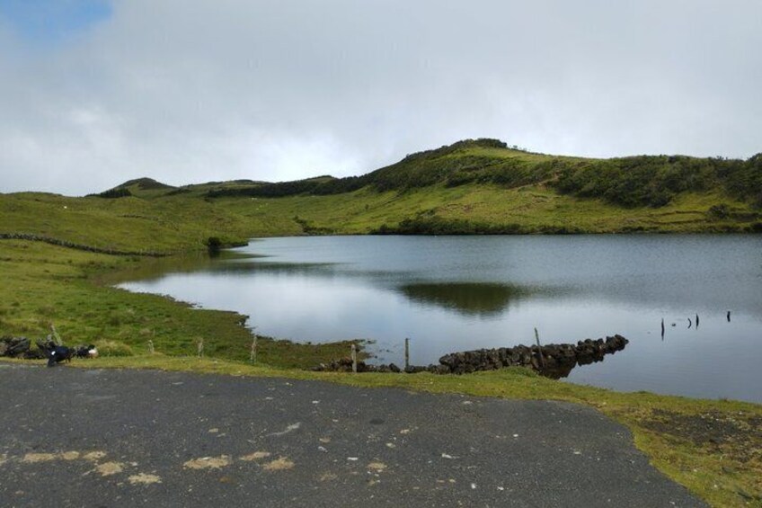 A calm lake surrounded by green hills, a stone wall, and a paved path. 5