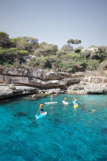 People paddleboarding in a clear blue sea with rocky cliffs and trees in the background. 4