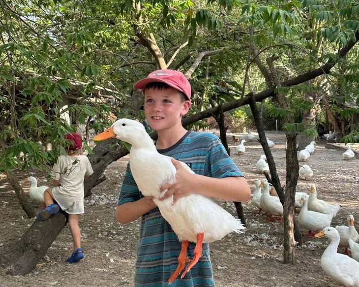 Picture 4 for Activity Hoi An: Duck Farm Experience with Local Family & Duck Leader 2