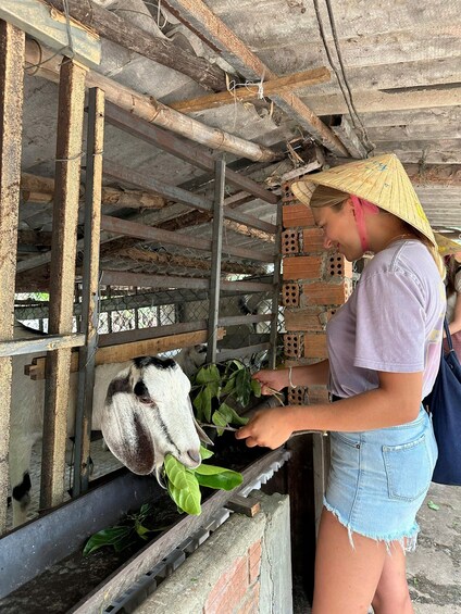 A person feeding a goat inside a rustic structure with a metal roof and brick walls. 5