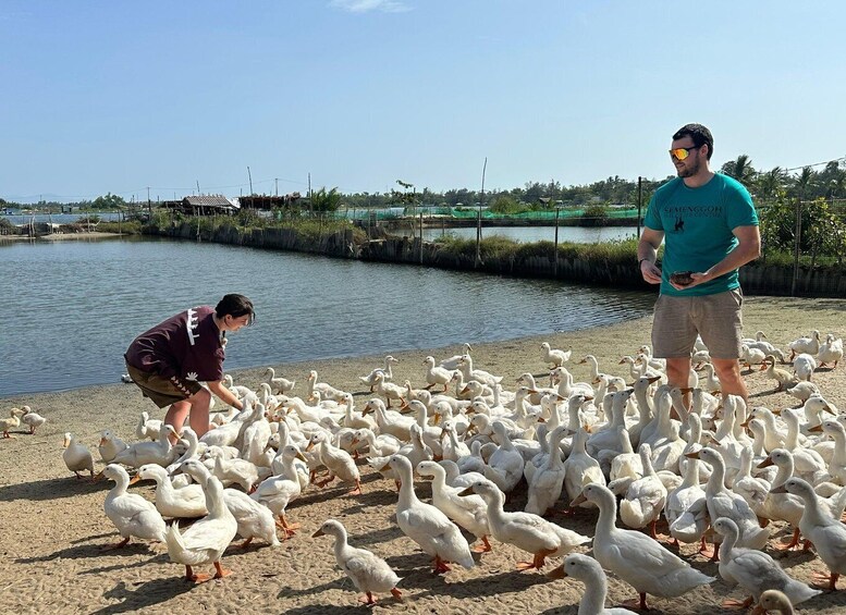 Picture 4 for Activity Hoi An: Duck Farm Experience with Local Family & Duck Leader 4