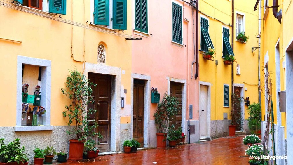 A narrow street with colorful buildings, potted plants, and a wet pavement. 3