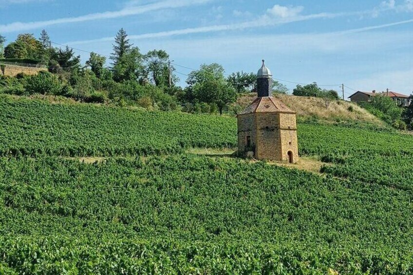 Beaujolais Golden Stones 3