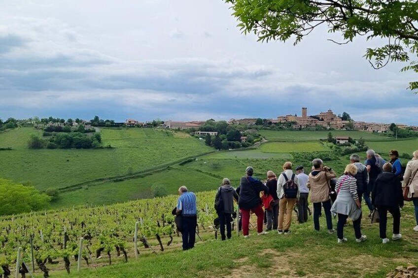 Beaujolais Golden Stones 1
