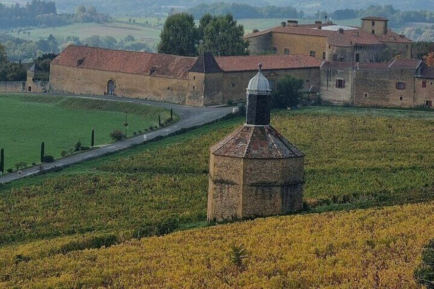 Beaujolais Golden Stones 2