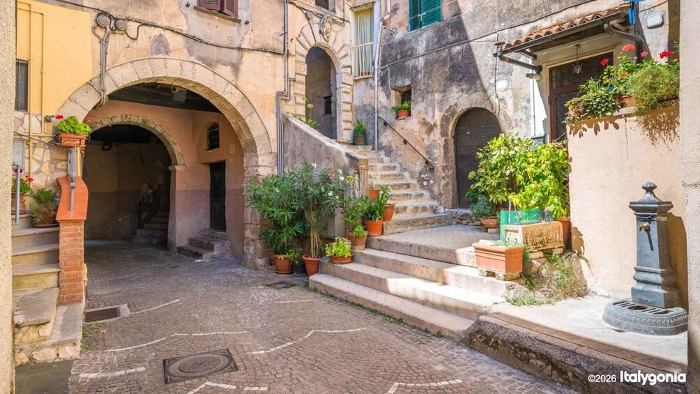 Picture 1 for Activity Fiuggi Walking Tour: Medieval Town & Thermal Heritage 3
