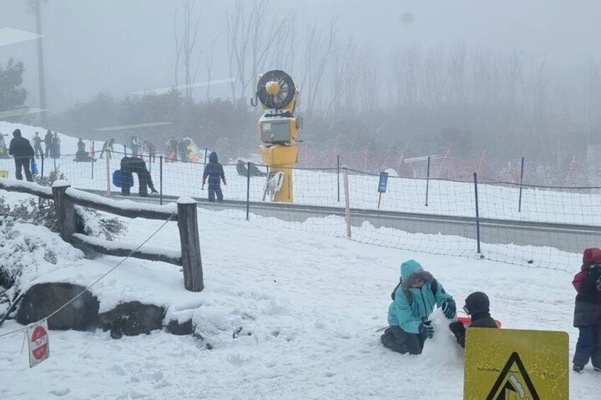 Private Lake Mountain Snow Tour from Melbourne 3