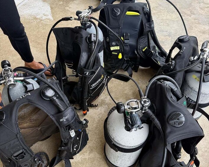 Picture 4 for Activity Onna Okinawa: Private Introductory Diving Blue Cave 4