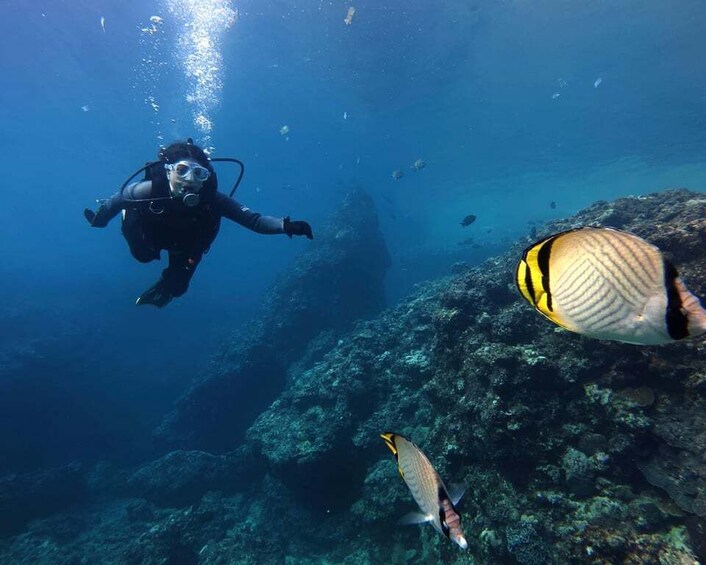 Picture 3 for Activity Onna Okinawa: Private Introductory Diving Blue Cave 2