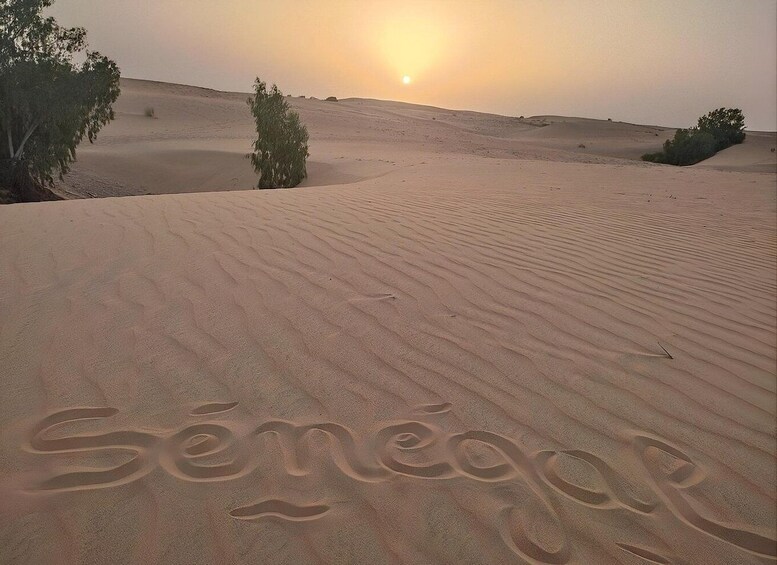 A desert landscape with sand dunes and the word 'Sénégal' etched into the sand. 3