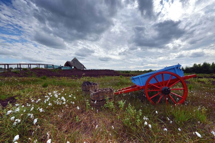 Picture 5 for Activity Kildare: Lullymore Heritage & Discovery Park Entry Ticket 3
