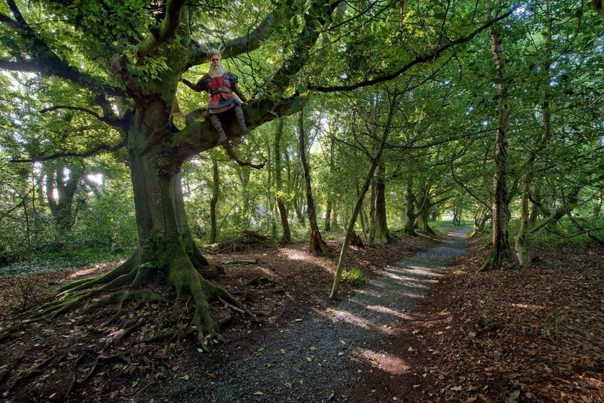 Picture 9 for Activity Kildare: Lullymore Heritage & Discovery Park Entry Ticket 5