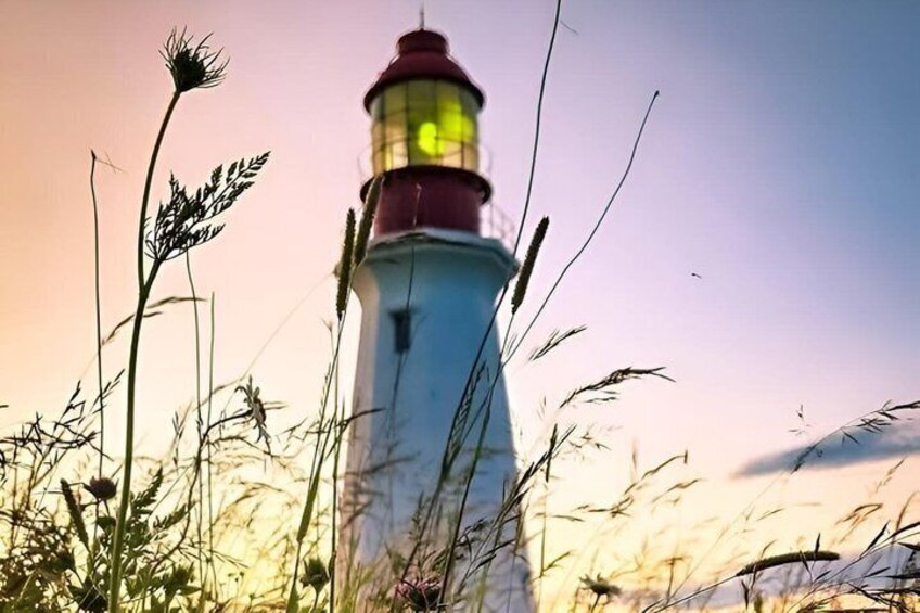 A lighthouse surrounded by tall grass and wildflowers. 2