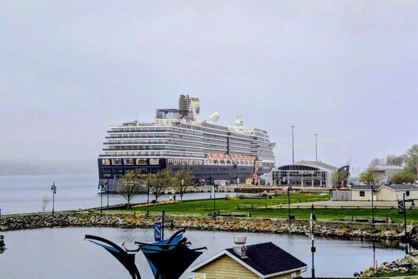 A large cruise ship docked at a port with a marina in the foreground. 4