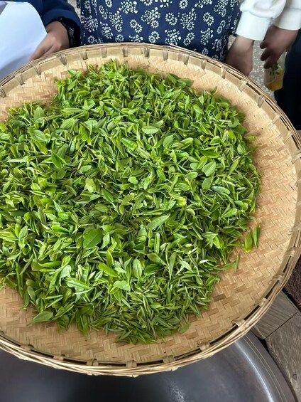 A large woven basket filled with green leaves. 2