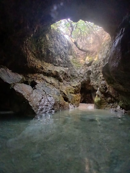 Picture 14 for Activity Punat Golden Excursions tour to Wild Bays or Plavnik, max 12 3