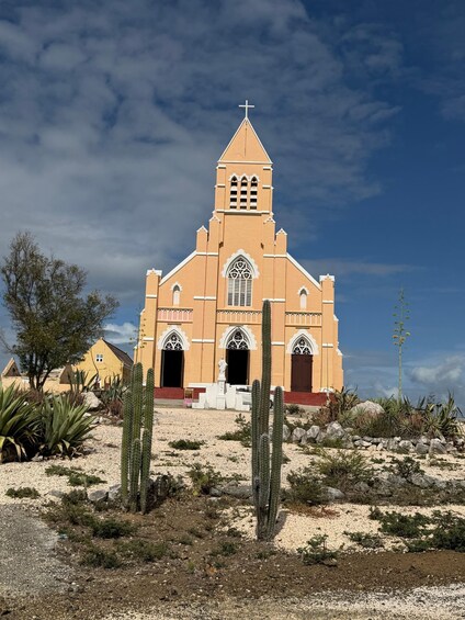 A church with a cross on top, surrounded by cacti and desert plants. 5
