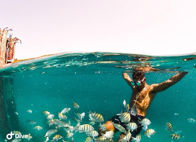 A person swimming underwater with fish. 1