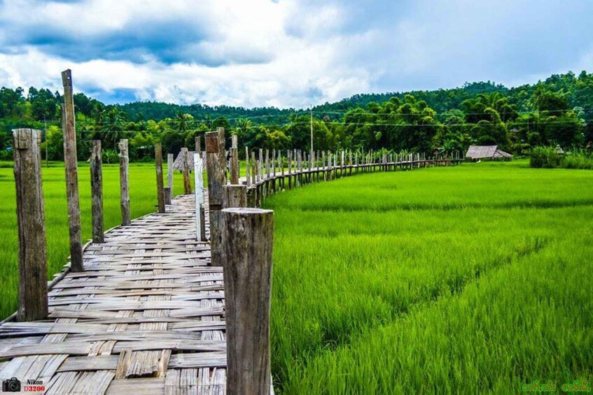 Picture 19 for Activity Pai: Mae Hong Son Day Trip with Long Neck Karen Village 3