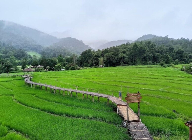 Picture 2 for Activity Pai: Mae Hong Son Day Trip with Long Neck Karen Village 2